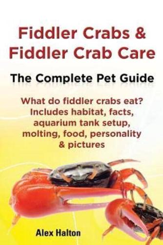 Fiddler Crabs & Fiddler Crab Care. Complete Pet Guide. What Do Fiddler Crabs Eat? Includes Habitat, Facts, Aquarium Tank Setup, Molting, Food, Persona