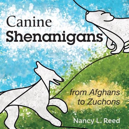 Canine Shenanigans: from Afghans to Zuchons