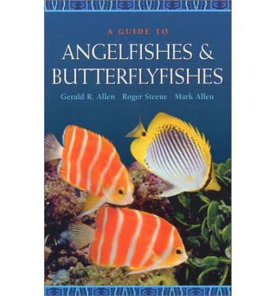 A Guide to Angelfishes and Butterflyfishes