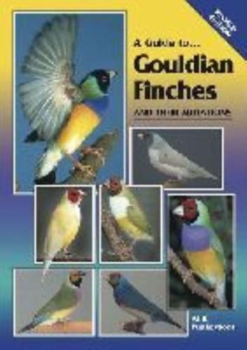 A Guide to Gouldian Finches and Their Mutations