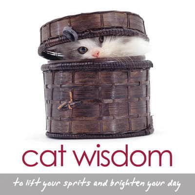 Cat Wisdom