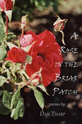 A Rose in the Briar Patch