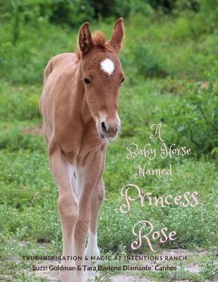 A Baby Horse Named Princess Rose