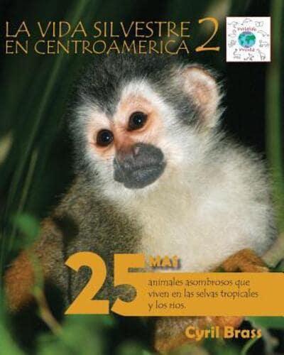 La vida silvestre en Centroamerica 2: 25 Mas animales asombrosos que viven en las selvas tropicales y los rios