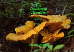 Chanterelle Chronicles