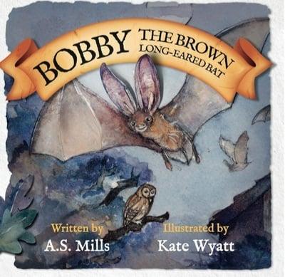 Bobby the Brown Long-Eared Bat