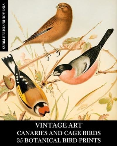 Vintage Art: Canaries and Cage Birds 35 Botanical Prints: Ephemera for Framing, Decoupage, and Mixed Media