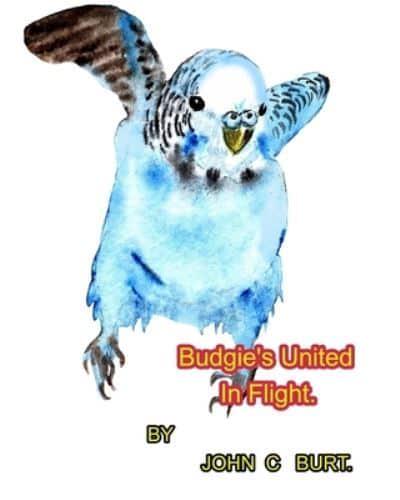 Budgie's United In Flight.