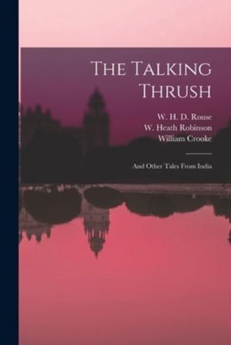 The Talking Thrush