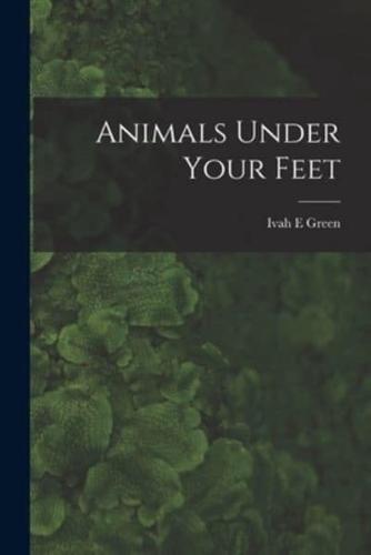 Animals Under Your Feet