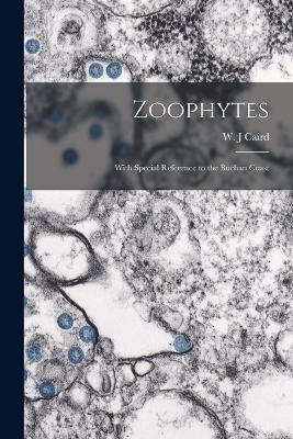 Zoophytes