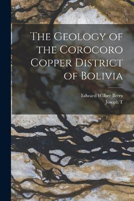 The Geology of the Corocoro Copper District of Bolivia