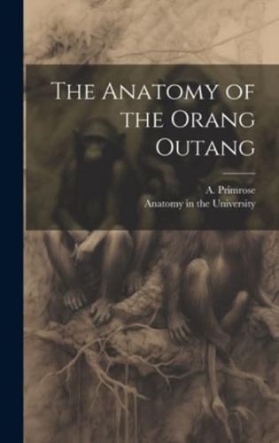 The Anatomy of the Orang Outang