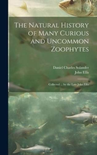 The Natural History of Many Curious and Uncommon Zoophytes