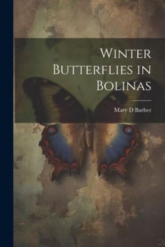 Winter Butterflies in Bolinas