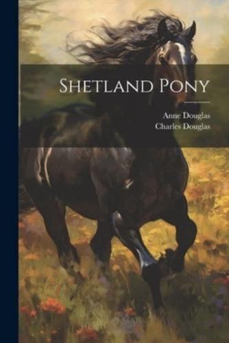 Shetland Pony