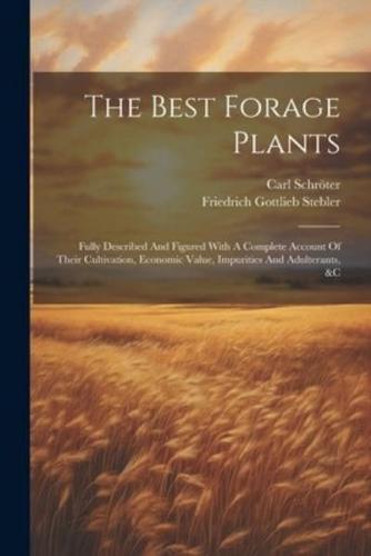 The Best Forage Plants