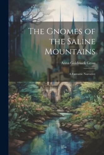 The Gnomes of the Saline Mountains; a Fantastic Narrative