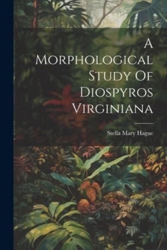 A Morphological Study Of Diospyros Virginiana