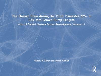 The Human Brain During the Third Trimester 225- To 235-Mm Crown-Rump Lengths