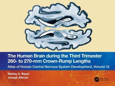 The Human Brain During the Third Trimester 260- To 270-Mm Crown-Rump Lengths