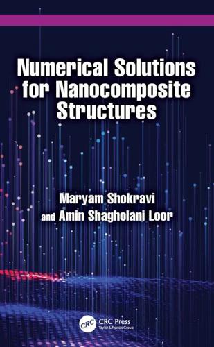 Numerical Solutions for Nanocomposite Structures