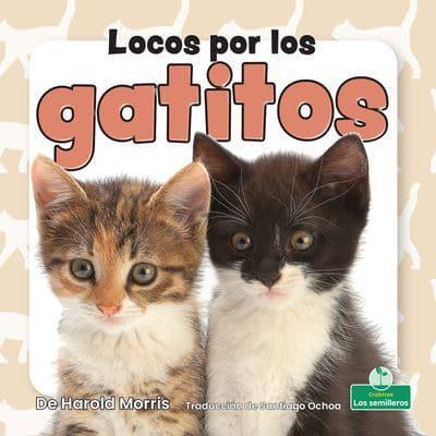 Locos Por Los Gatitos