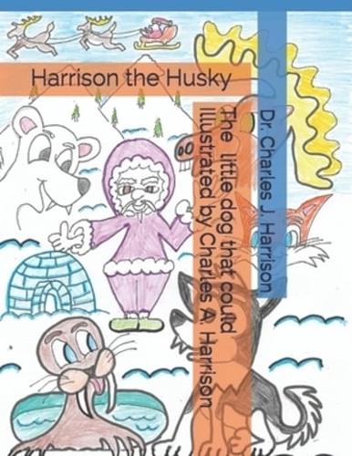 Harrison the Husky