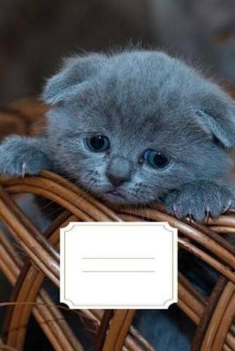 Sad Kitten Diary