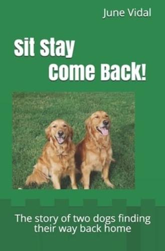 Sit - Stay Come Back!