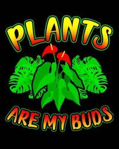 Plants Are My Buds
