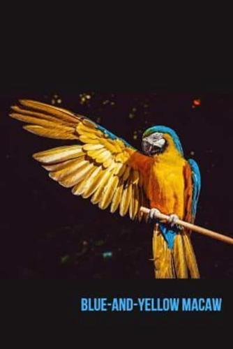 Blue-and-Yellow Macaw