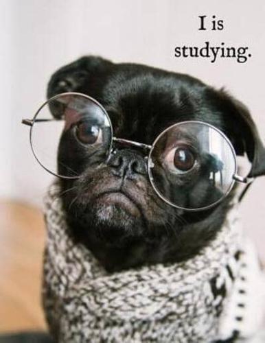 I Is Studying.