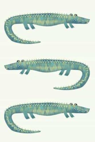 Alligators or Crocodiles