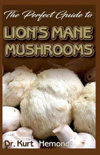The Perfect Guide to Lion's Mane Mushrooms