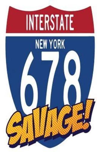 Interstate New York 678 Savage