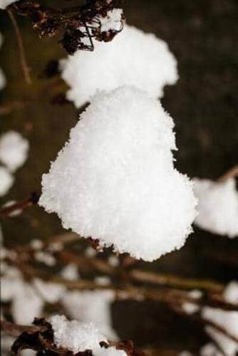 Heart Made of Snow Journal