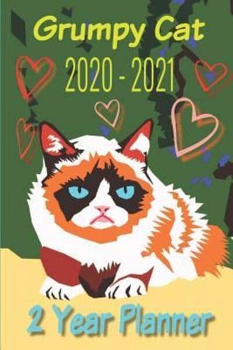 Grumpy Cat 2020 - 2021 2 Year Planner