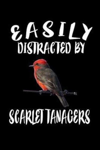 Easily Distracted By Scarlet Tanagers