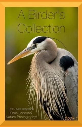 A Birder's Collection