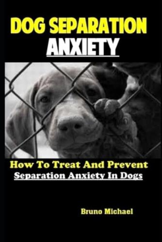 Dog Separation Anxiety: How To Treat And Prevent Separation Anxiety In Dogs