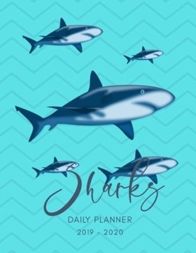 2019 2020 15 Months Sharks Daily Planner