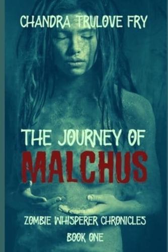 The Journey of Malchus