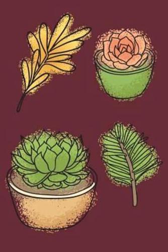 Succulents