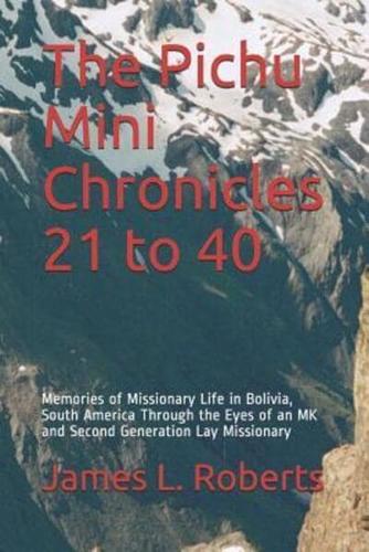 The Pichu Mini Chronicles 21 to 40