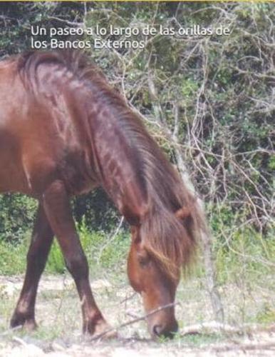 Un Paseo a Lo Largo De Las Orillas De Los Bancos Externos