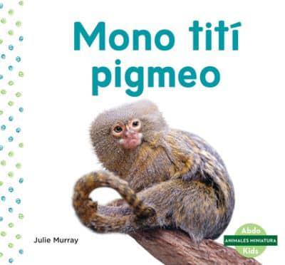 Mono Tití Pigmeo (Pygmy Marmoset)