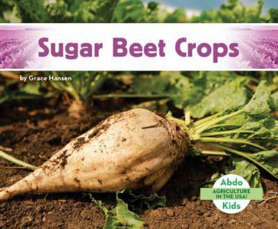 Sugar Beet Crops