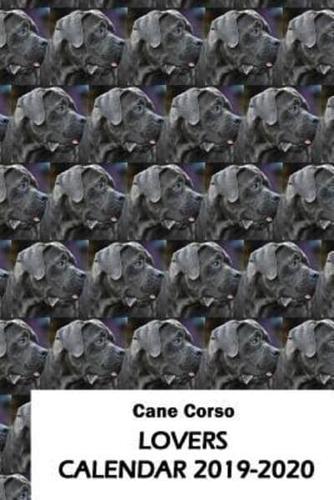 Cane Corso Lovers Calendar 2019-2020