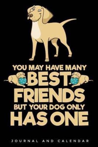 You May Have Many Best Friends But Your Dog Only Has One